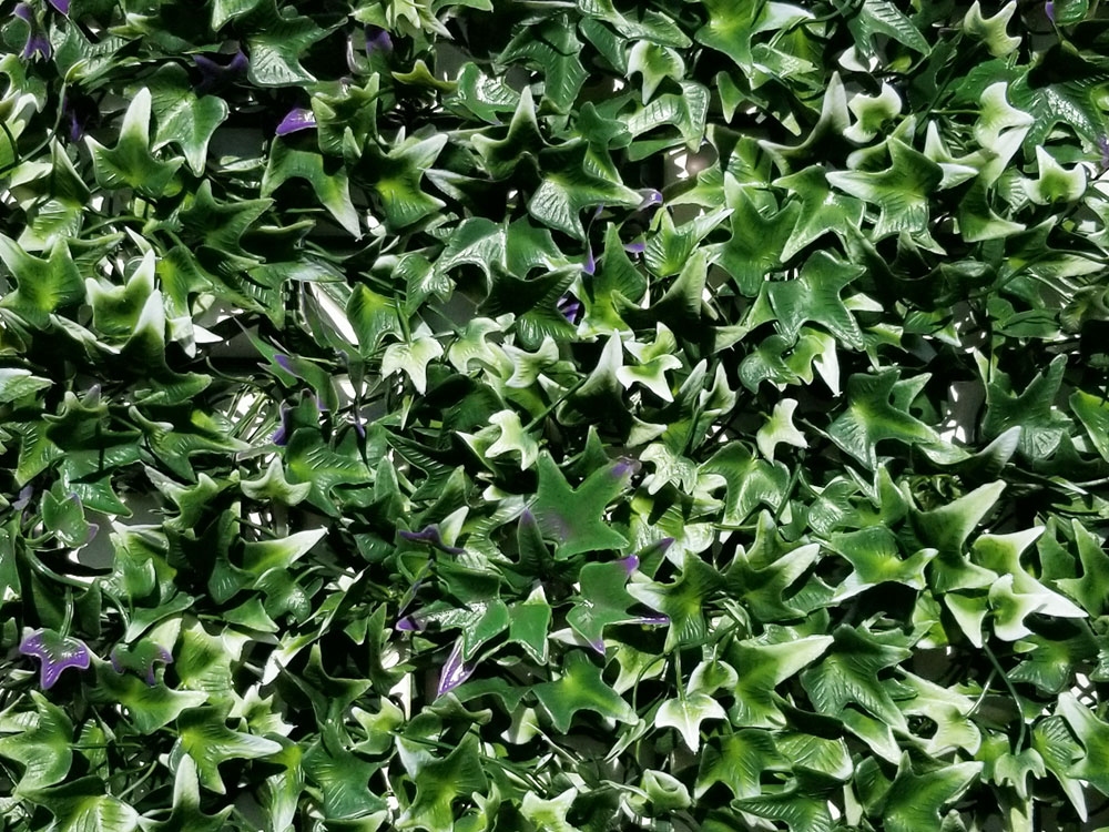 Hedera mini VG, dielec 50 x 50 cm