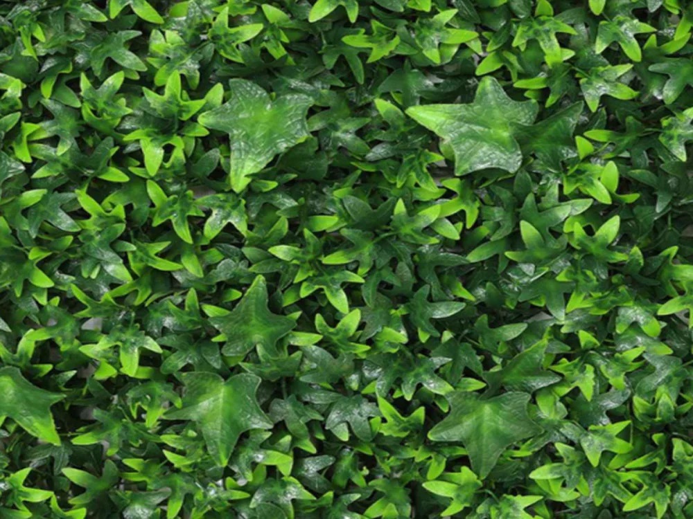 Hedera mini, dielec 50 x 50 cm