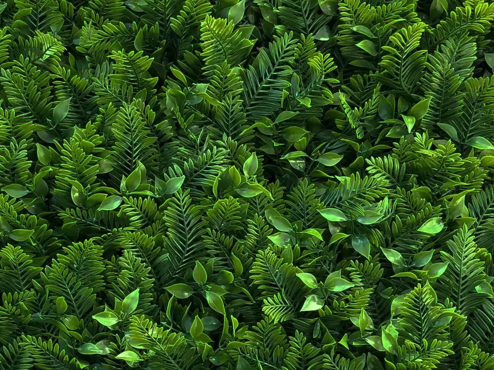 MINI WALL GREEN Fern, dielec 50 x 50 cm