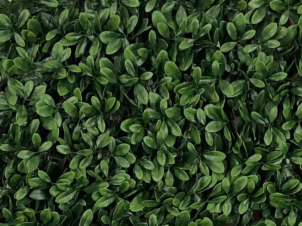LAURUS EXT, rozmer 1,0x2,0 m
