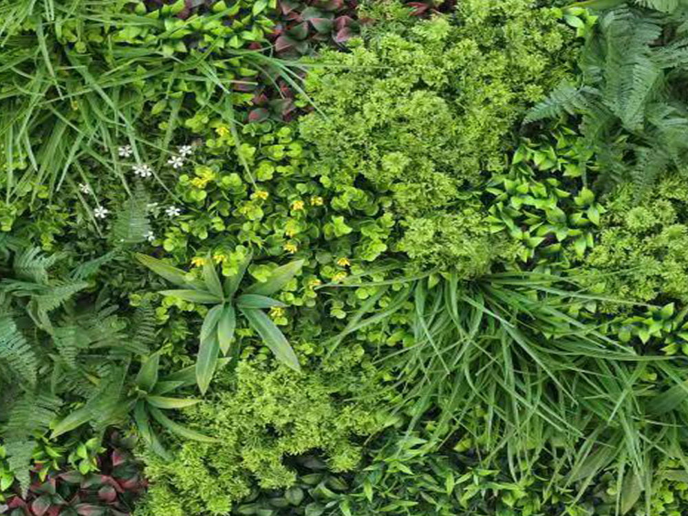 WALL GREEN Jungle - yellow / white flower, dielec 100 x 100 cm