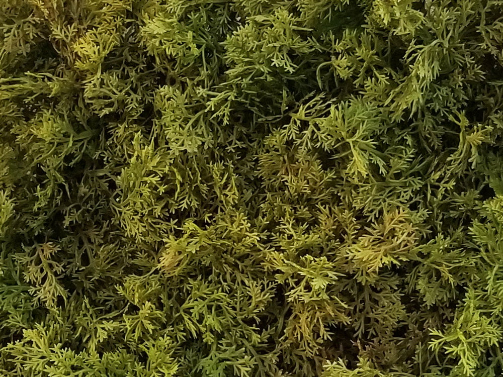 Shaggy moss green/brown, dielec 50 x 50 cm