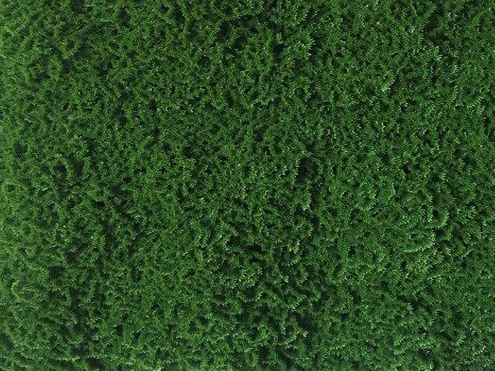 Moss dark green 2, dielec 50 x 50 cm