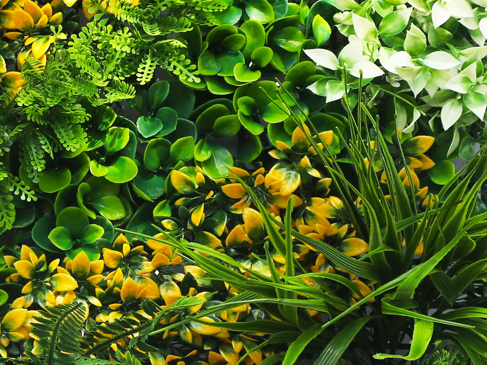 MINI WALL GREEN orange bush, dielec 50 x 50 cm