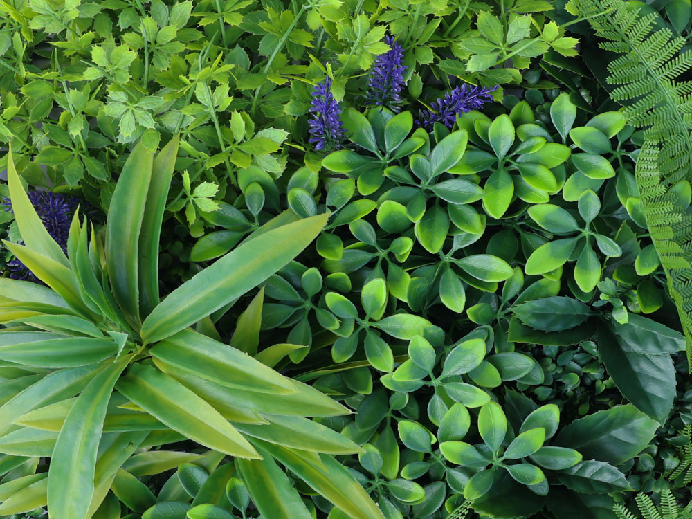 MINI WALL GREEN  herb variation, dielec 50 x 50 cm