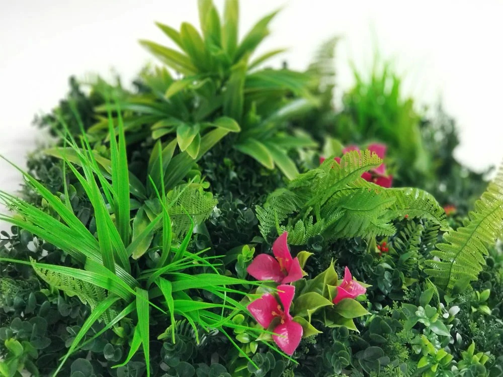 MINI WALL GREEN Dracaena, dielec 50 x 50 cm