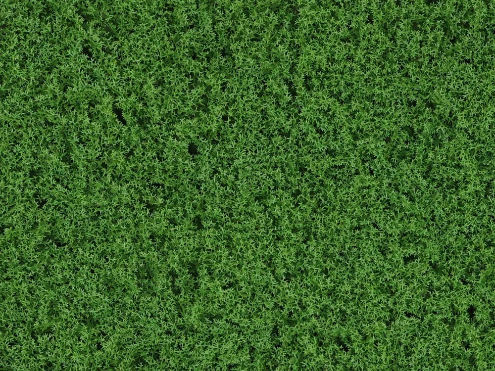 Moss Island dark green, dielec 50 x 50 cm