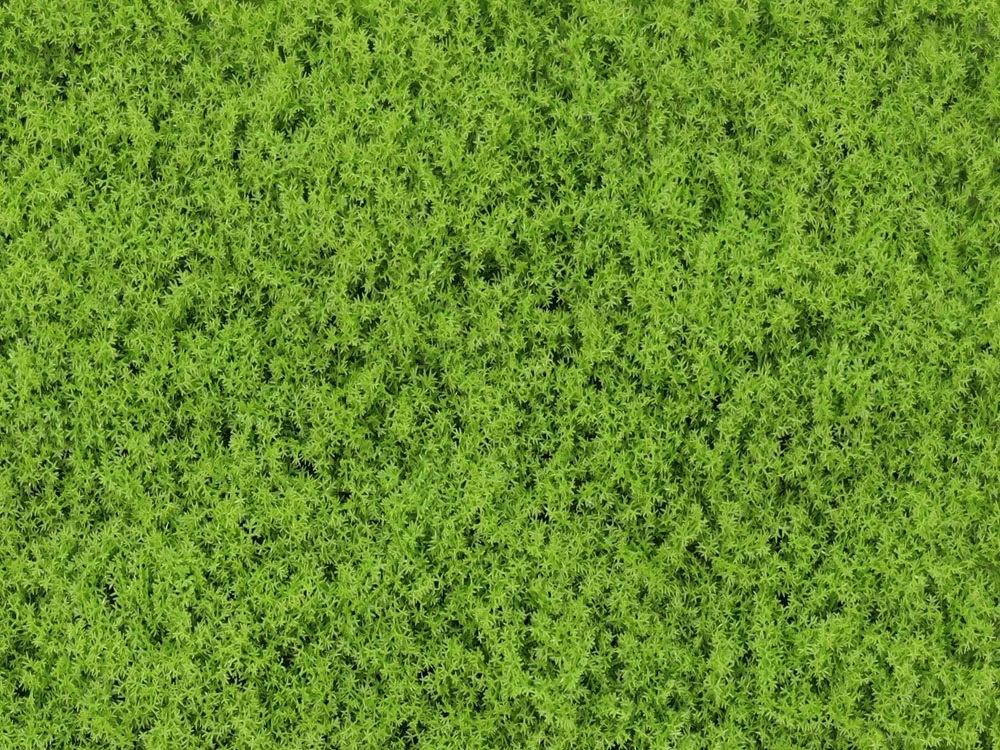 Moss Island light green, dielec 50 x 50 cm