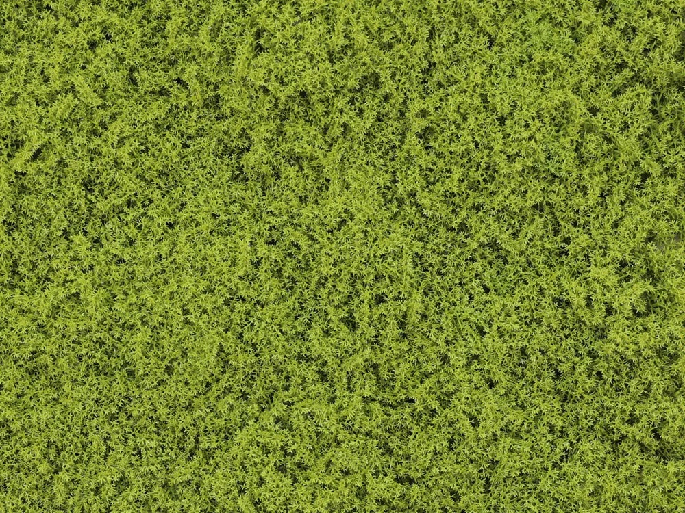 Moss Island summer green, dielec 50 x 50 cm
