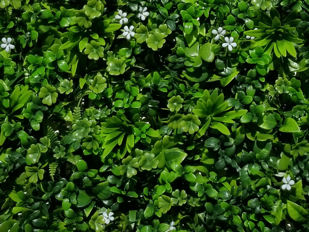 Sedum bloom, dielec 50 x 50 cm