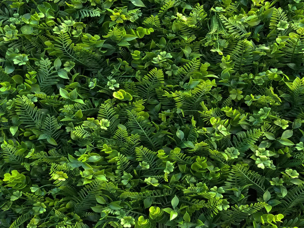 MINI WALL GREEN Fern and clover, dielec 50 x 50 cm