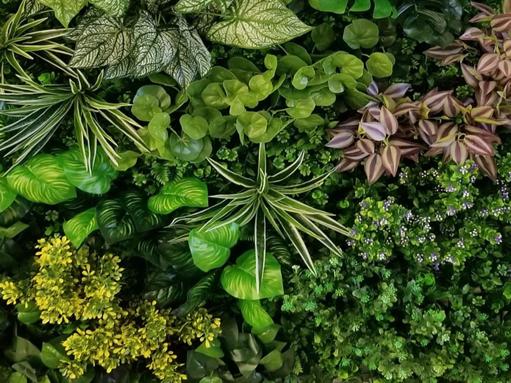 Variabilný WALL GREEN Pilea, dielec 100 x 100 cm