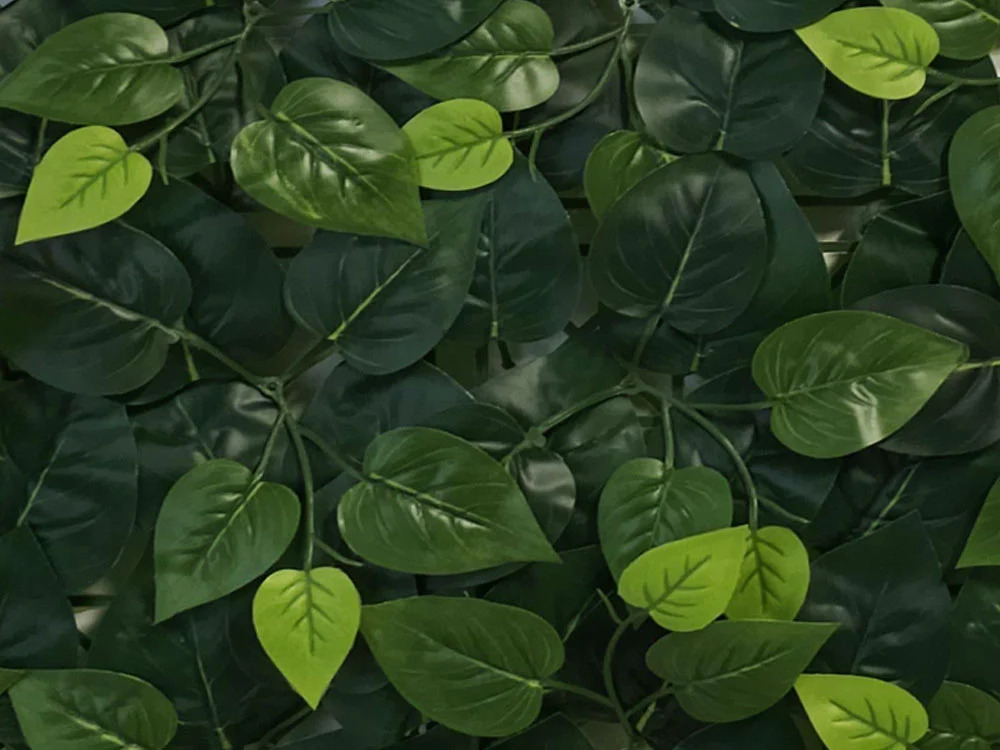 VULGARIS ECONOMY, dielec 50 x 50 cm