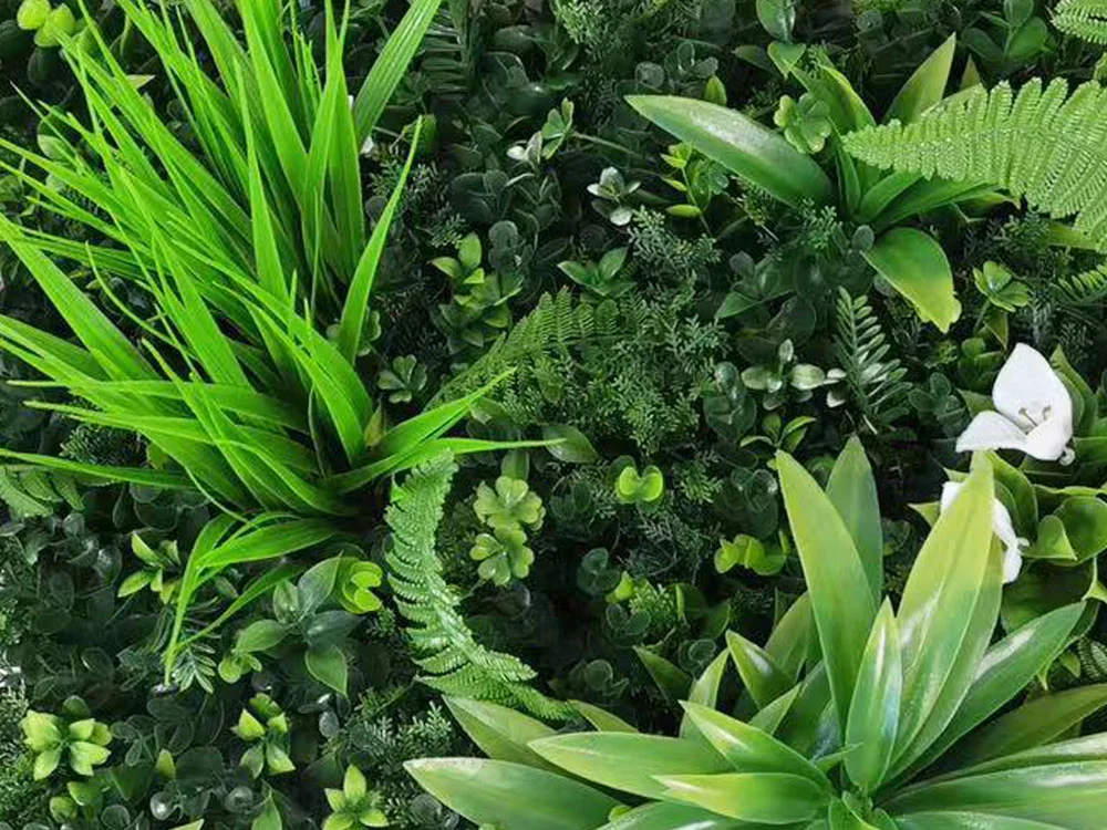MINI WALL GREEN Dracaena and orchid, dielec 50 x 50 cm