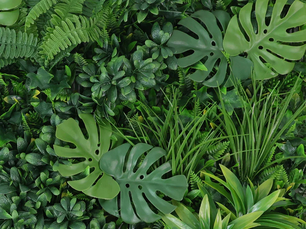 WALL GREEN Monstera, dielec 100 x 100 cm