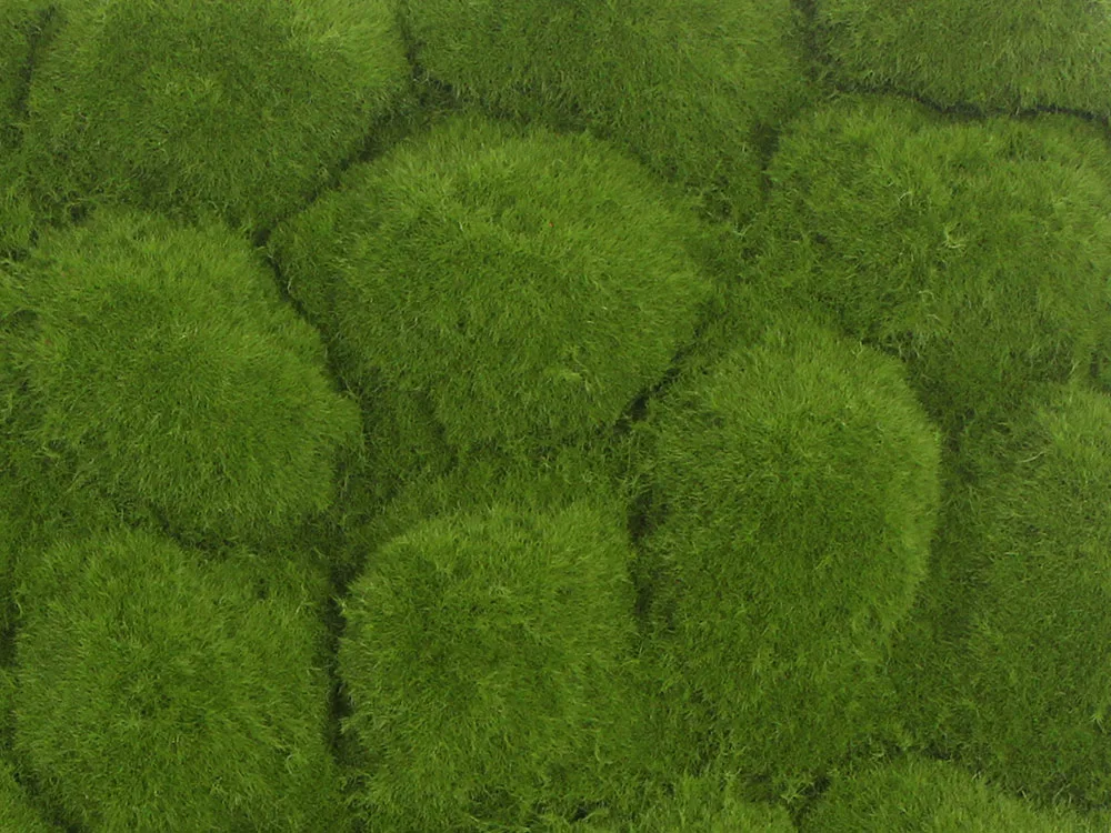Globe moss light green, dielec 50 x 50 cm
