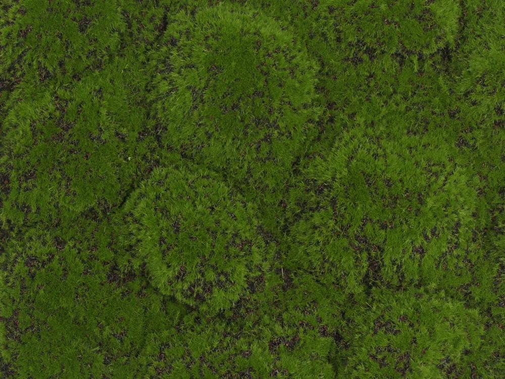 Globe moss green/brown, dielec 50 x 50 cm