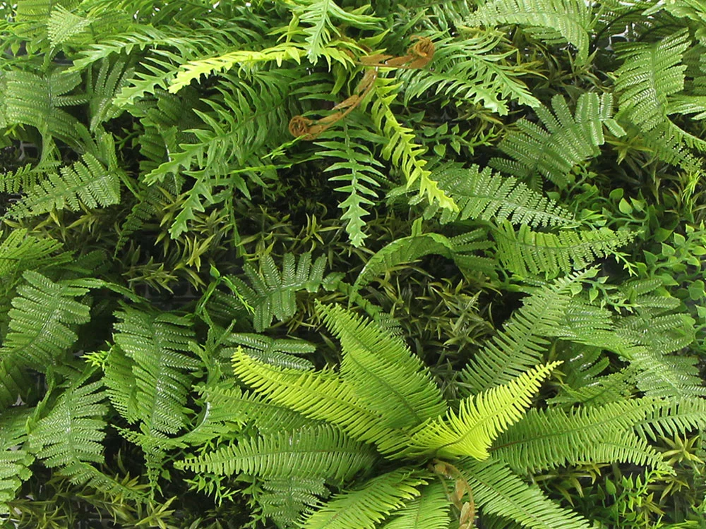 MINI WALL GREEN bush fern, dielec 50 x 50 cm