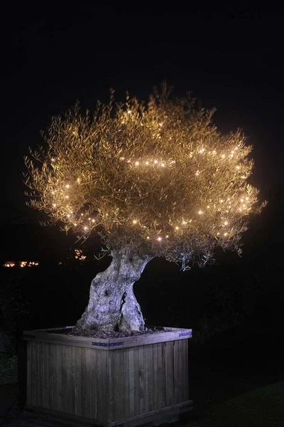 Svetelný reťaz Linea, 10 m, 2 W