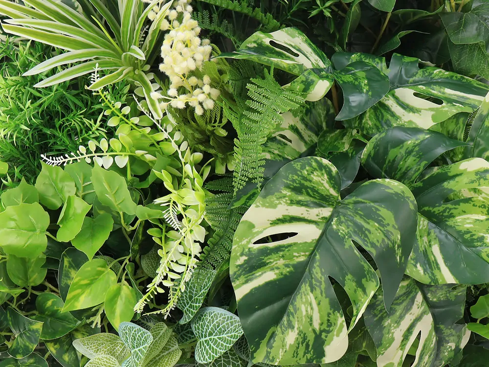 MINI WALL GREEN Monstera, dielec 50 x 50 cm