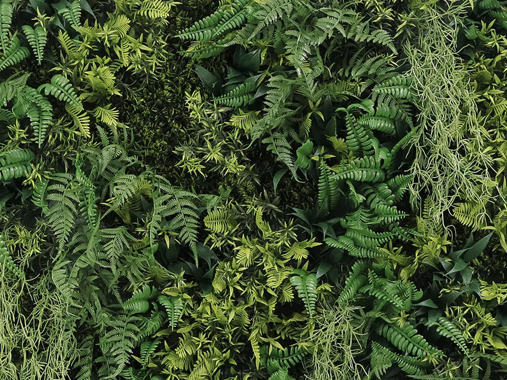 WALL GREEN beard moss fern, dielec 100 x 100 cm