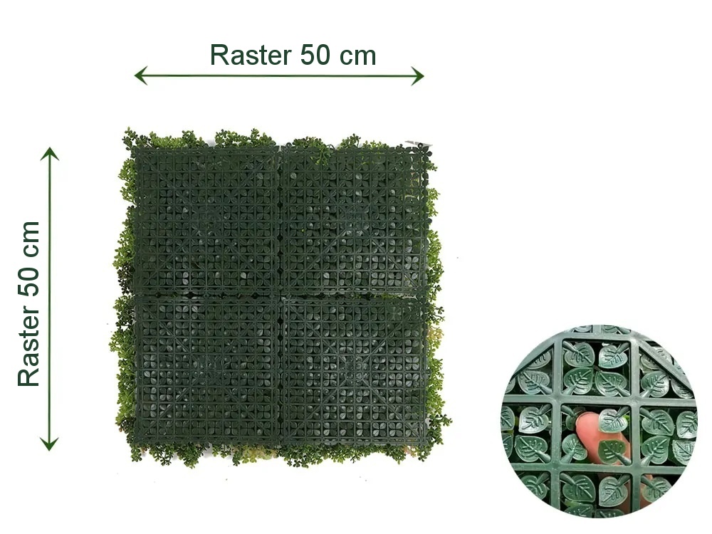 MINI WALL GREEN Sedum, dielec 50 x 50 cm