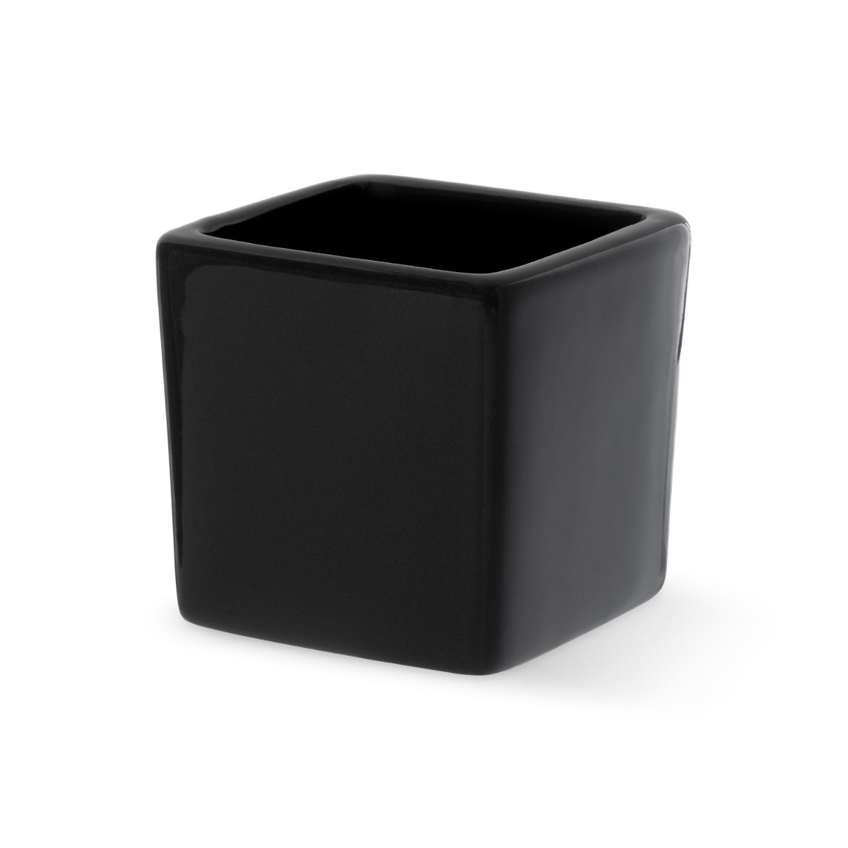 Stromček Pittosporum