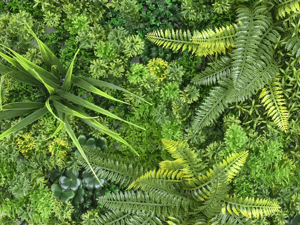 MINI WALL GREEN moss fern flora, dielec 50 x 50 cm