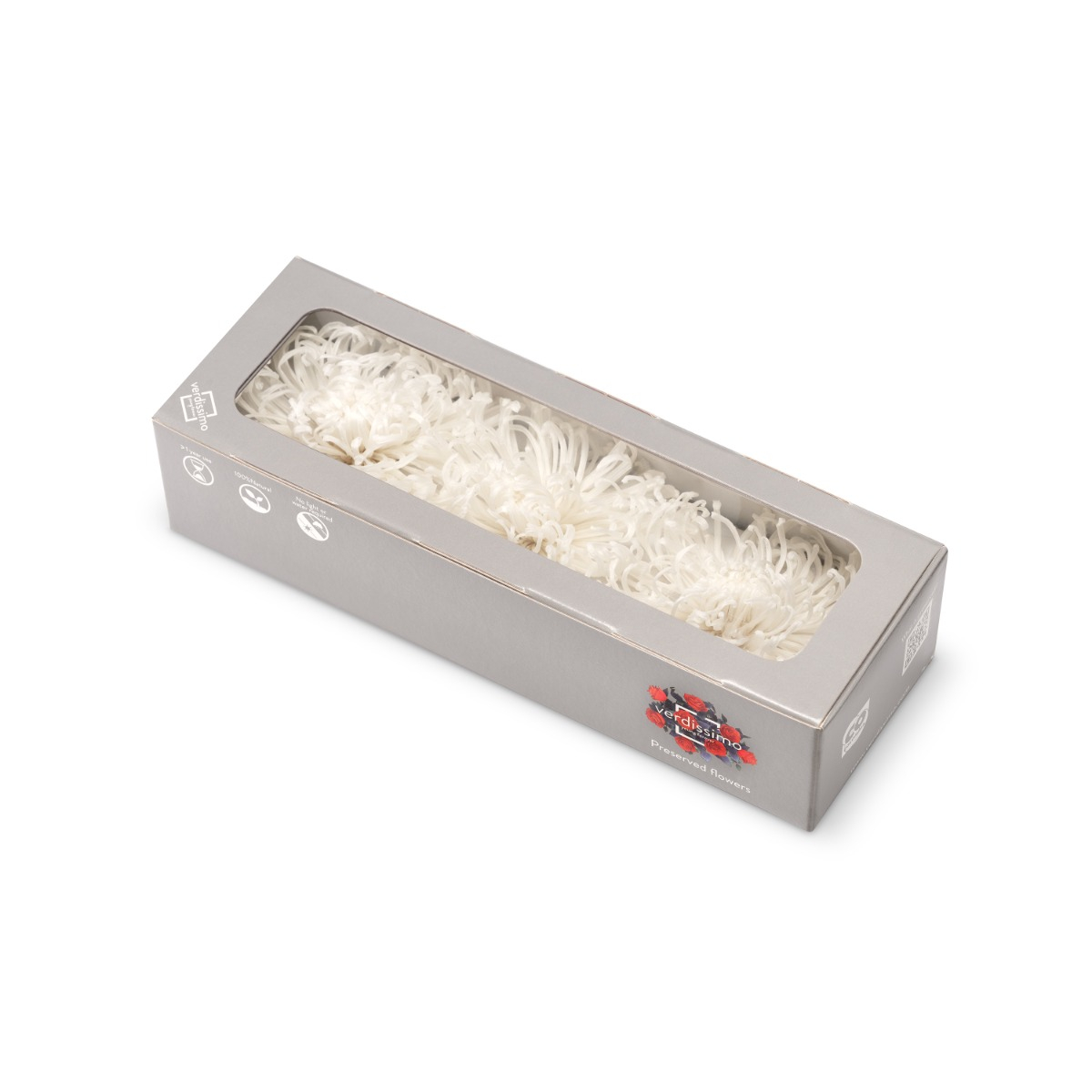 Chrysanthema Anastasia - 3 ks