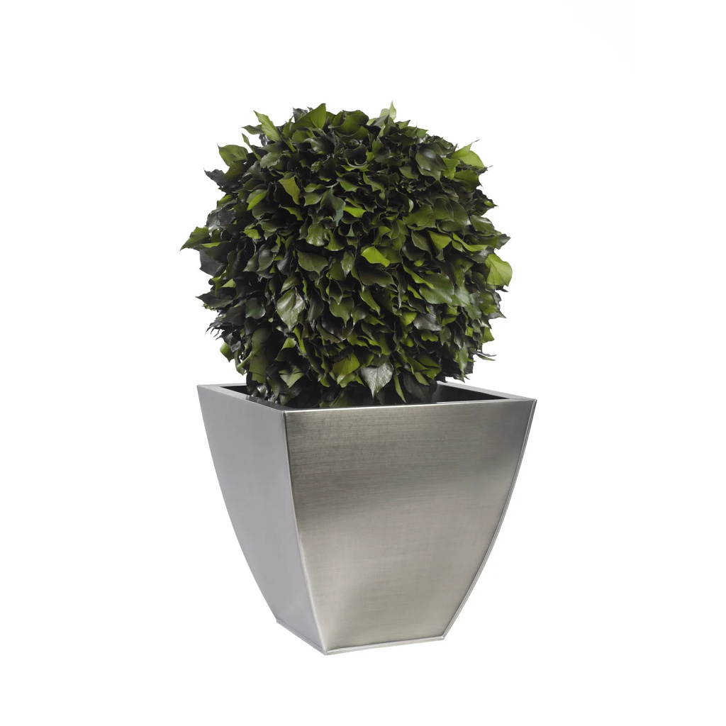 Ivy - simple spehere