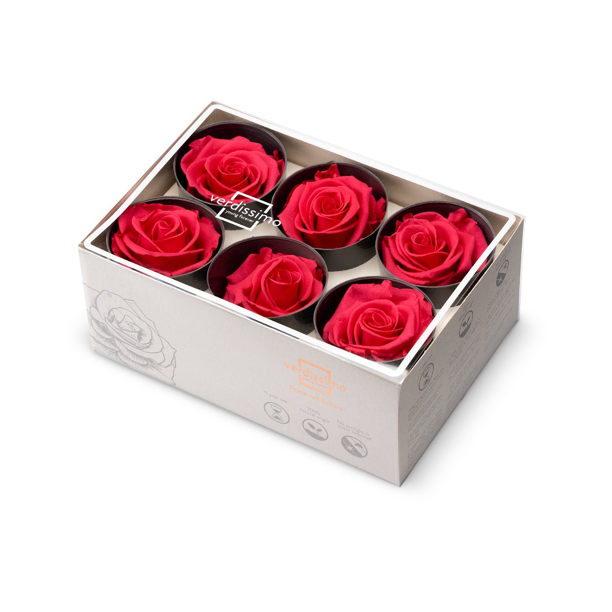 Hlavy ruží - štandard 6 ks