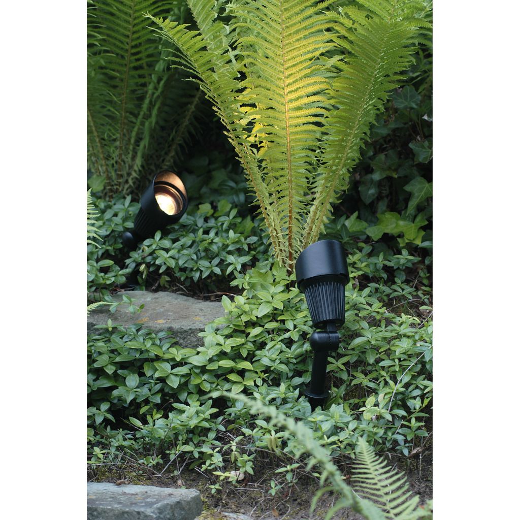 Focus, 3 W, LED