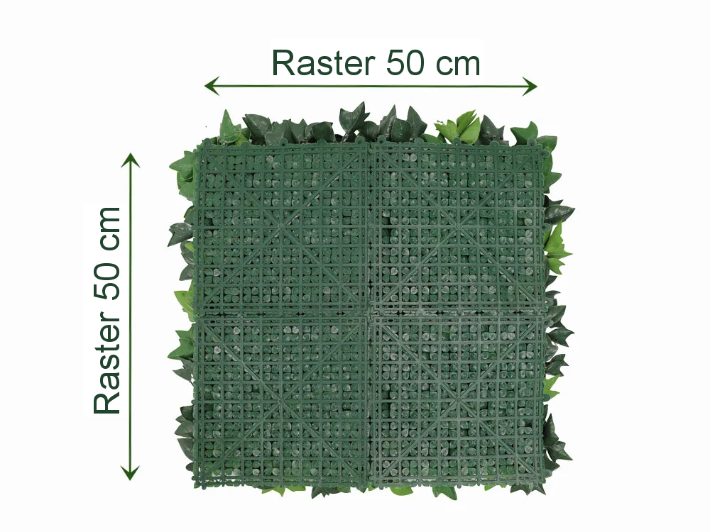 HEDERA BLOOM, dielec 50 x 50 cm