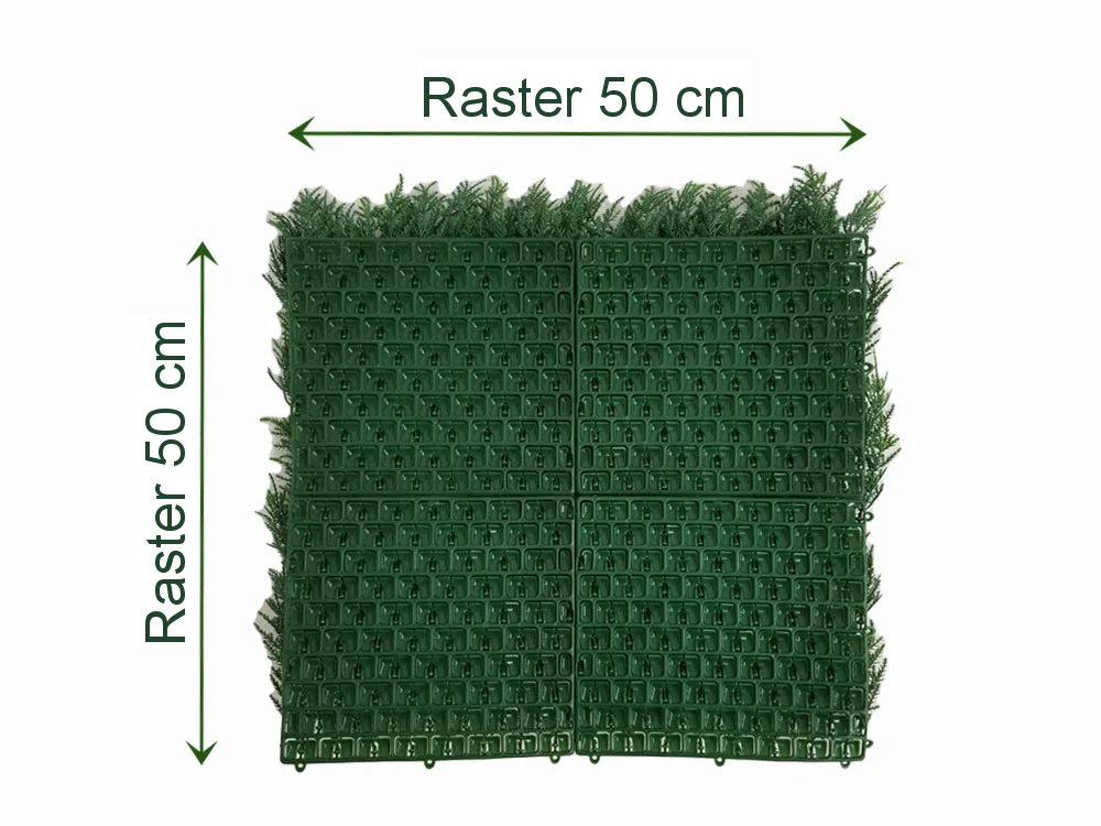 THUJA JAPONICA, dielec 50 x 50 cm