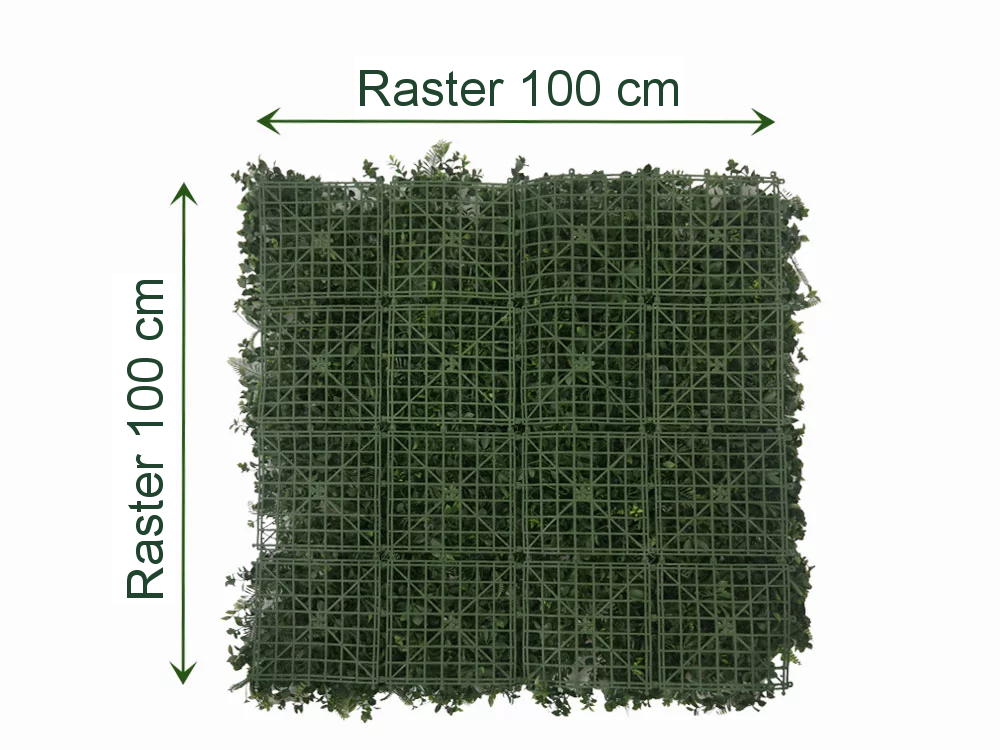 WALL GREEN Schefflera, dielec 100 x 100 cm