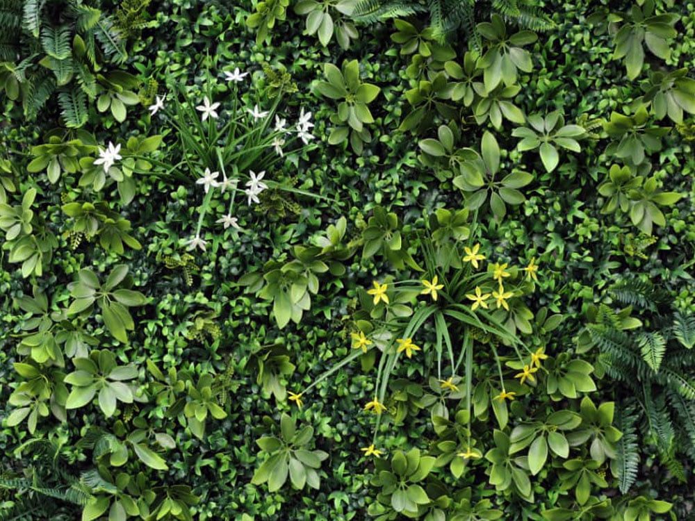 WALL GREEN color mix Shefflera, dielec 100 x 100 cm