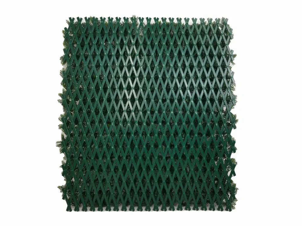 SCHEFFLERA EXT, rozmer 1,0x2,0 m