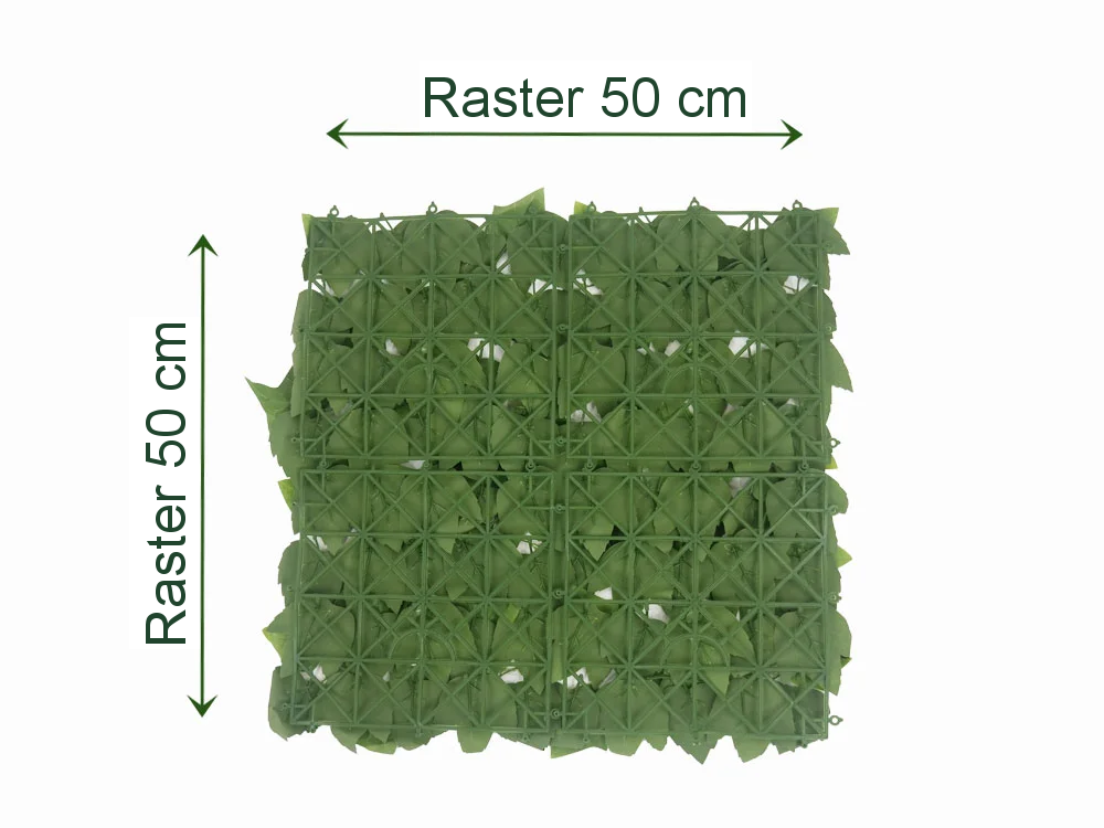 HEDERA ECONOMY, dielec 50 x 50 cm