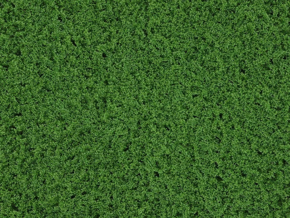 Moss Island dark green, dielec 50 x 50 cm