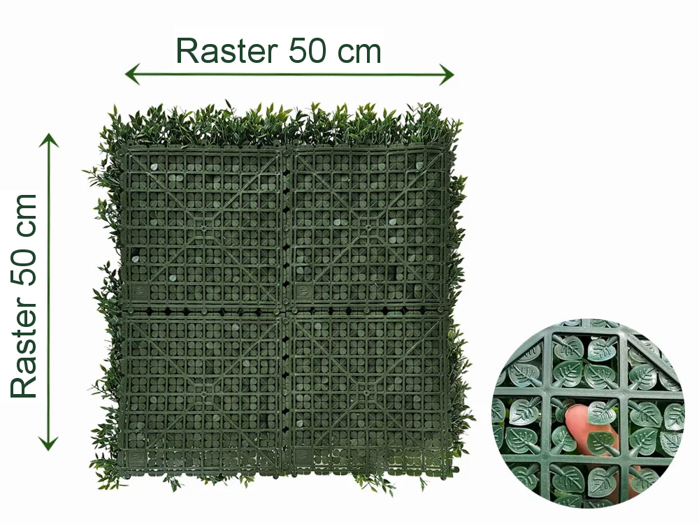 Buxus Muisdoorn, dielec 50 x 50 cm