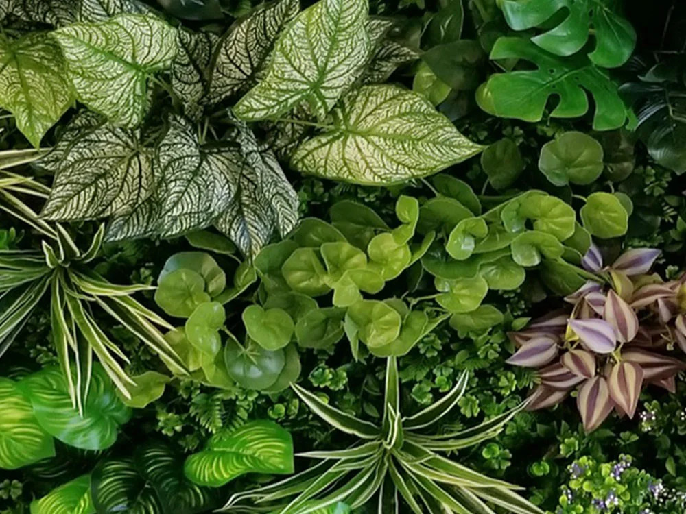 Variabilný WALL GREEN Pilea, dielec 100 x 100 cm