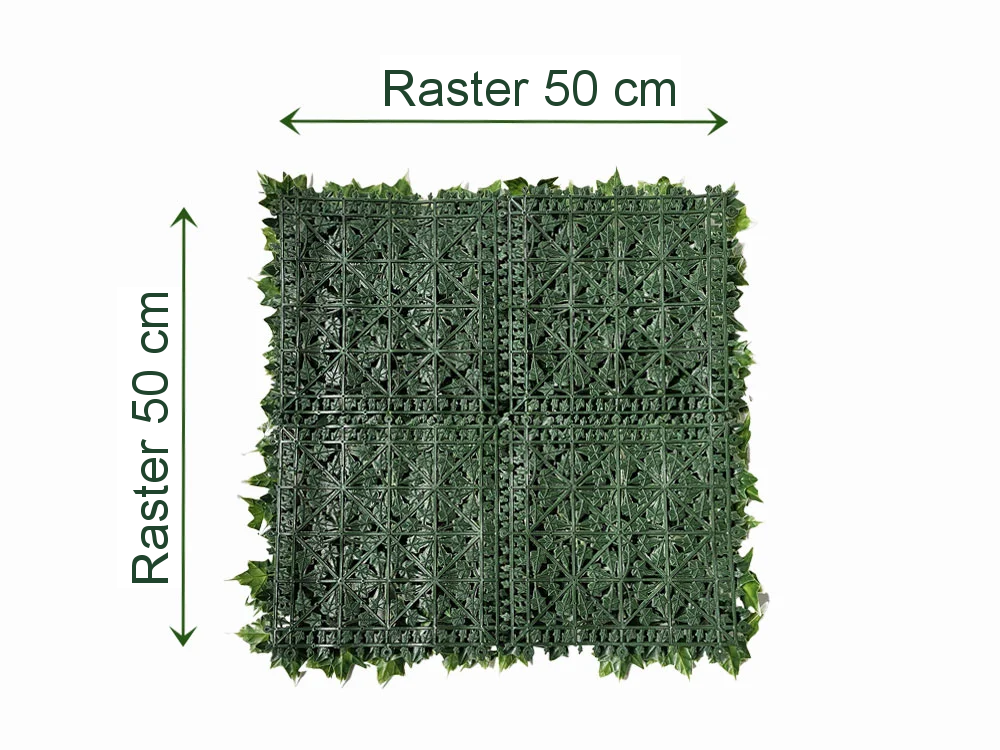 Hedera helix VG, dielec 50 x 50 cm