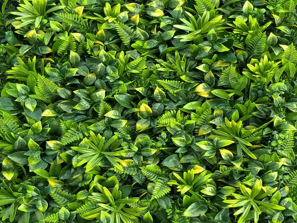 MINI WALL GREEN yellow Fern 2, dielec 50 x 50 cm