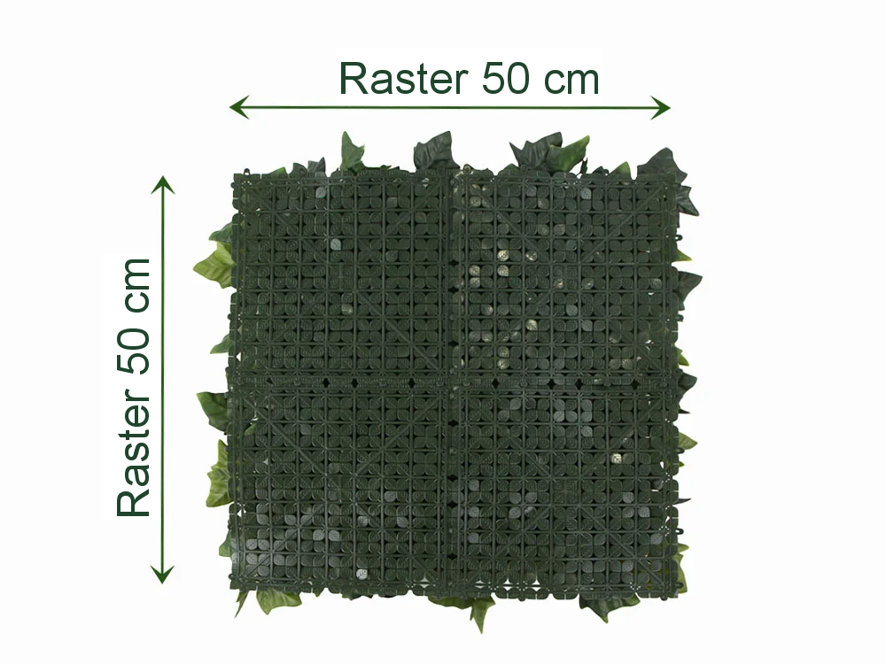 Hedera helix, dielec 50 x 50 cm