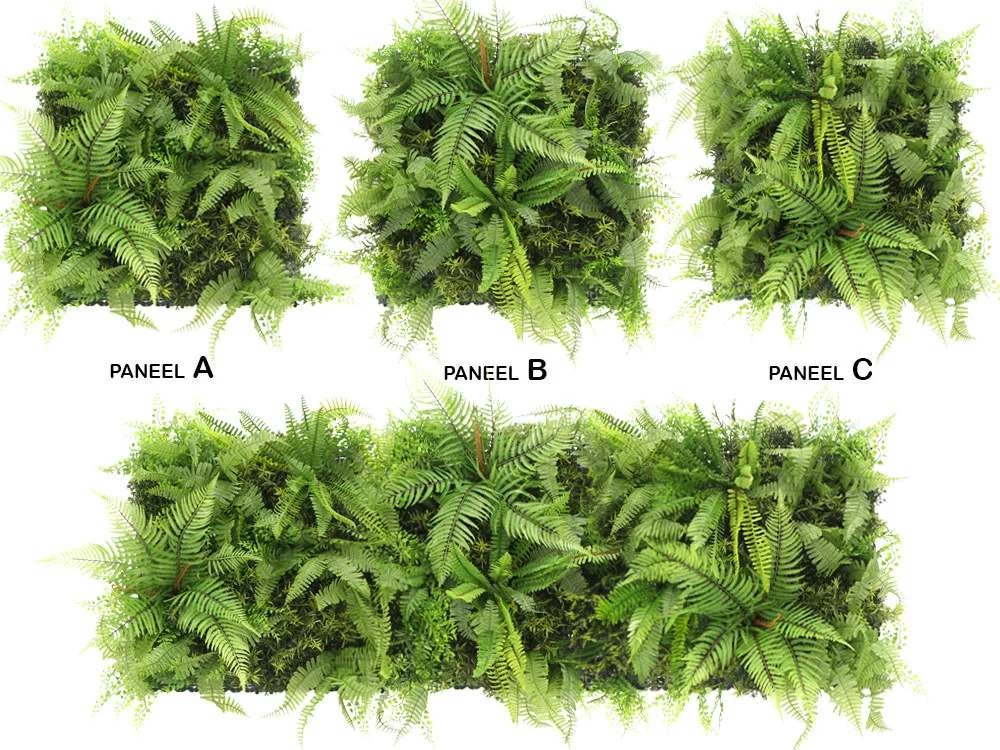 MINI WALL GREEN Dicksonia tree fern, dielec 50 x 50 cm