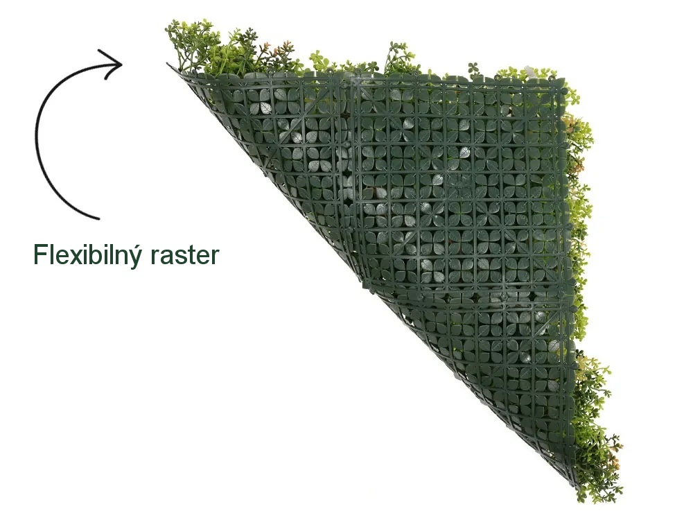 MINI WALL GREEN Sedum, dielec 50 x 50 cm