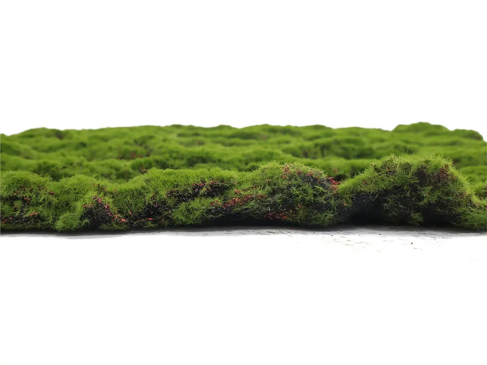 Ball moss, dielec 50 x 50 cm