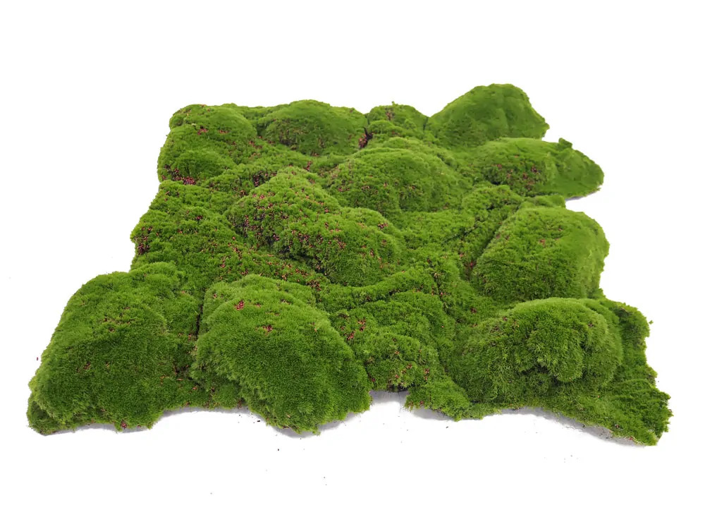 Ball moss varia, dielec 50 x 50 cm