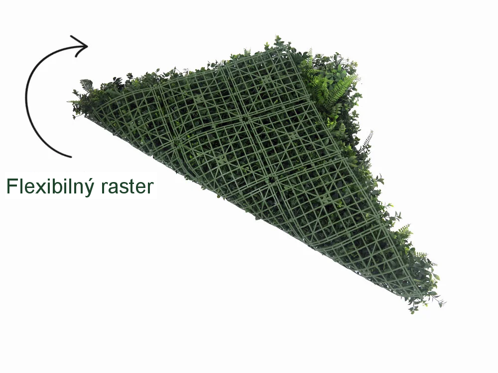 WALL GREEN Schefflera, dielec 100 x 100 cm