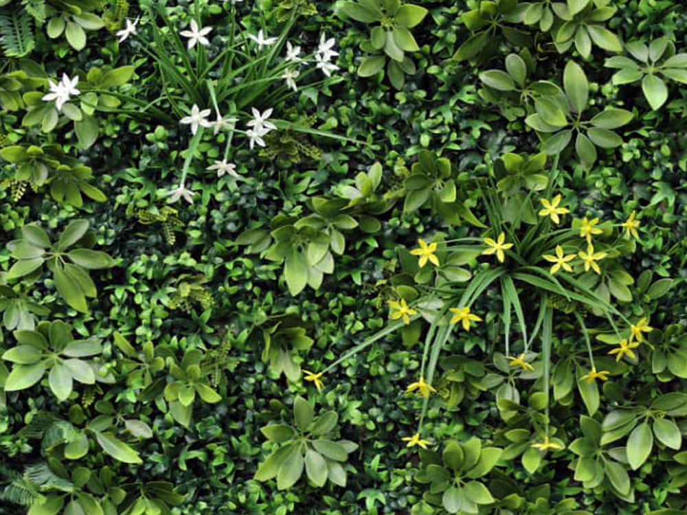 WALL GREEN color mix Shefflera, dielec 100 x 100 cm